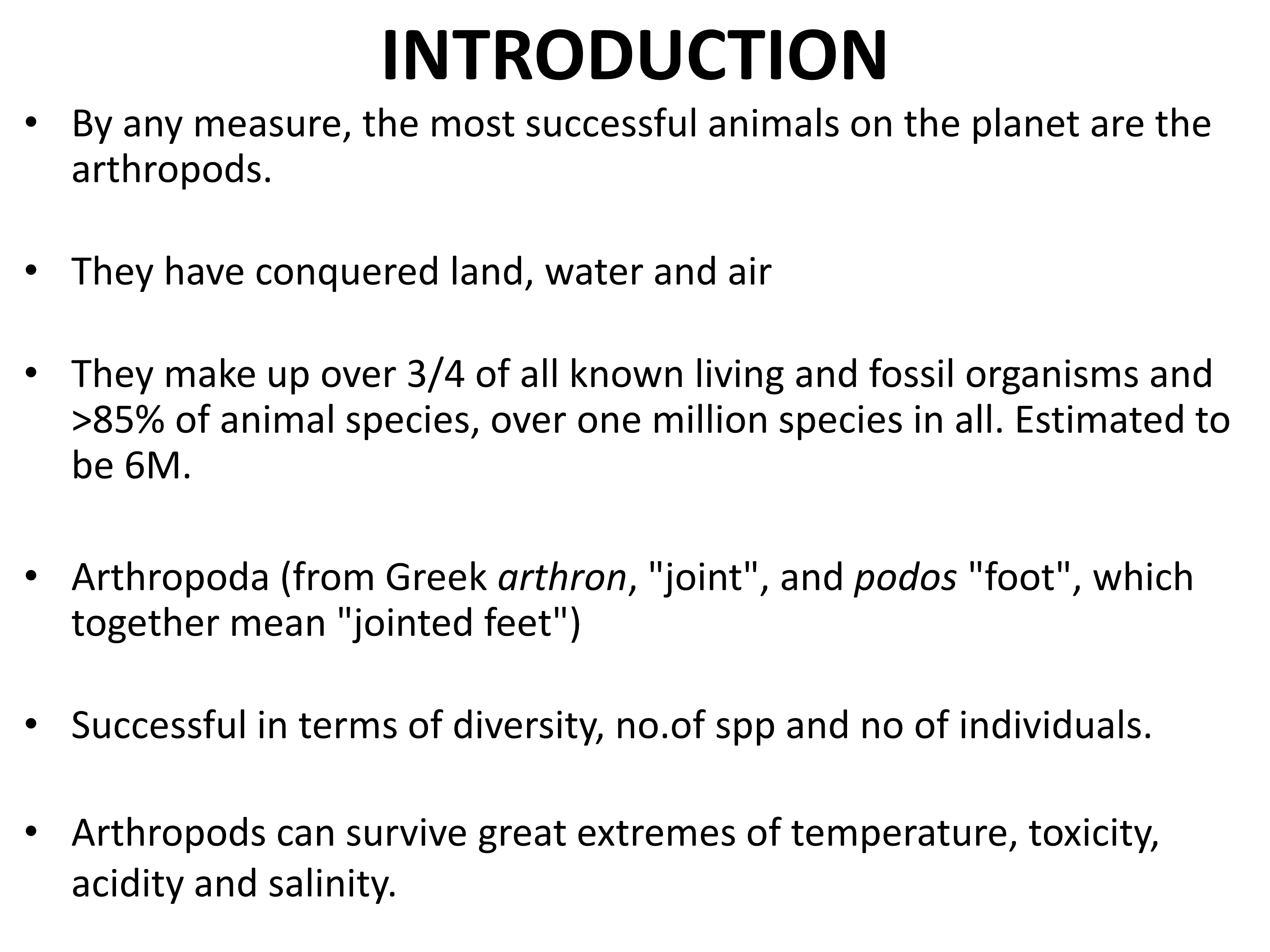 No preview available